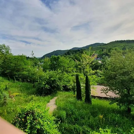 Gigi, Ideala Pentru Relaxare Si Distractie! *