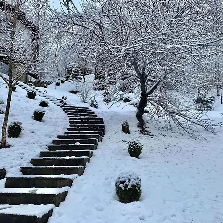 Gigi, Ideala Pentru Relaxare Si Distractie! Дом отдыха